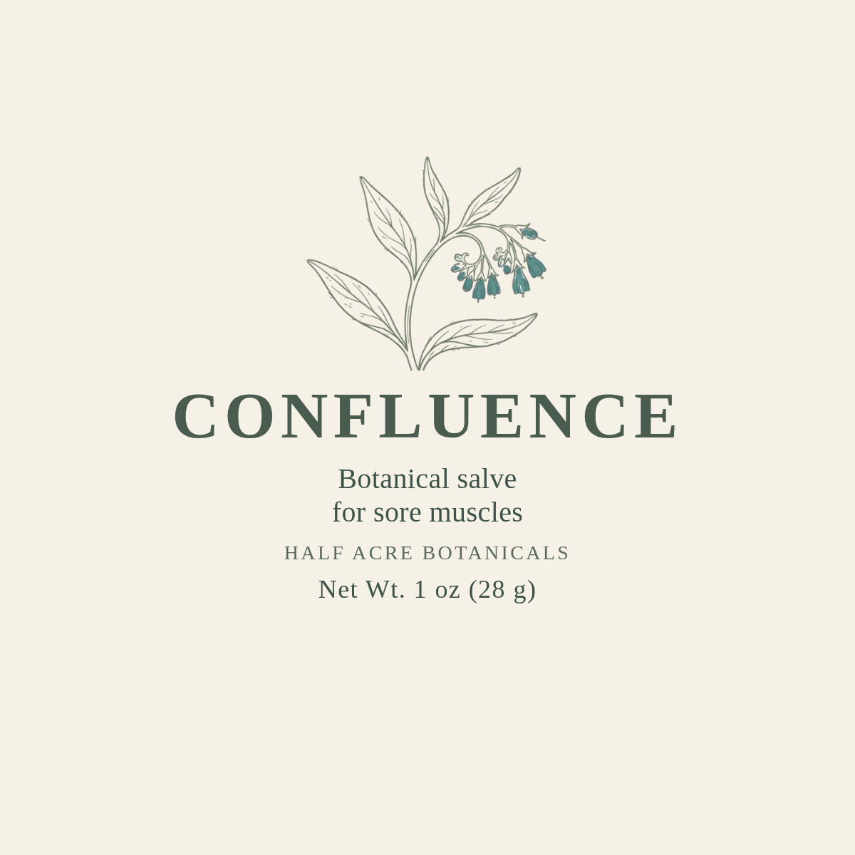 Confluence 1 oz lid — comfrey bells, Half Acre Botanicals